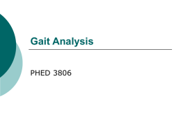 Gait Analysis - PHED 3806 Functional Assessment