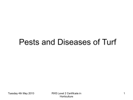 Pests, Diseases and Disorders of Turf