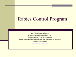 Rabies Control Program