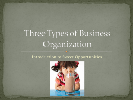 Three Types of Business Organization