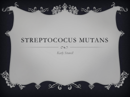 Streptococus Mutans