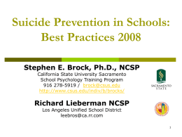 Suicide Risk Assessment & School