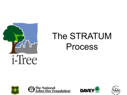 The STRATUM Process - i-Tree