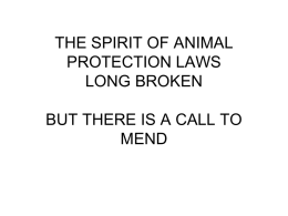 THE SPIRIT OF ANIMAL PROTECTION LAWS BROKEN BUT …