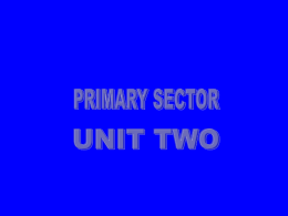 PRIMARY SECTOR