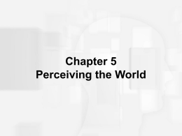 Chapter 5 Perceiving the World