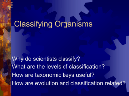 Classifying Organisms - Robert P. Brabham Middle School