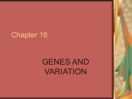 Ch. 16 - LBHS Biology