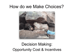 How do we Make Choices?
