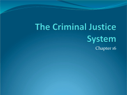 The Criminal Justice System