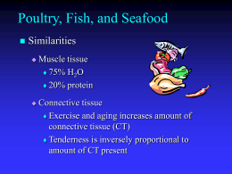 Poultry, Fish and Seafood
