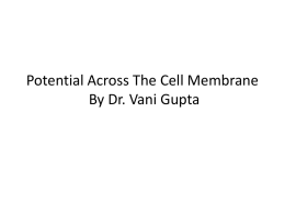 Potential Across The Cell Membrane By Dr. Vani Gupta