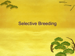 Selective Breeding - Mrs. Teffeteller's Science Classes