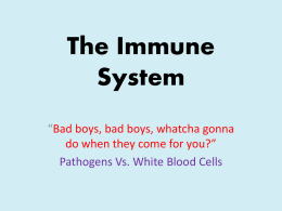 The Immune System - John Burroughs Middle School