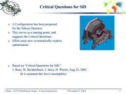 Critical Questions for SiD