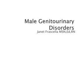 Male Genitourinary Disorders - Wilkes