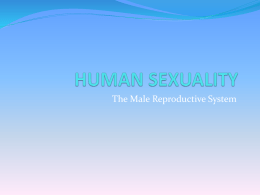 HUMAN SEXUALITY - Mr. Renz's Website