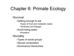 Chapter 6: Primate Ecology