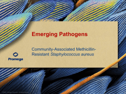 Emerging Pathogens - Promega Corporation
