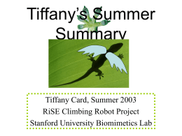 Tiffany Card’s summer summary