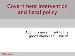 Government intervention and fiscal policy