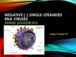 Negative (-) Single-Stranded RNA Viruses Samuel Aguazim M.D.