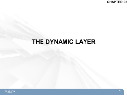 THE DYNAMIC LAYER