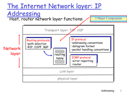 The Internet Network layer: IP Addressing