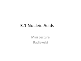 3.1 Nucleic Acids - Biology with Radjewski