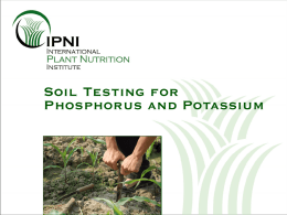 Soil Testing for P & K - International Plant Nutrition