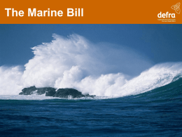 Marine Bill