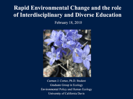 The Role of Interdisciplinary and Diverse Approaches in
