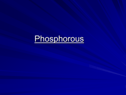 Phosphorous - University of Florida