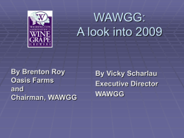 WAWGG: Issues in 2009
