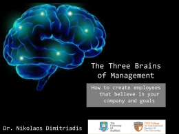 The Three Brains of Management