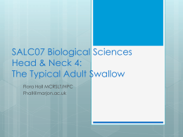SALC07 Biological Sciences Head & Neck 4: Normal Swallow
