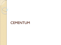 CEMENTUM - Dentalstudymaterial Blog