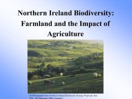 Northern Ireland Biodiversity