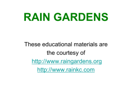 Rain Gardens - NJIT Civic Engagement Computer Center