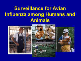 Surveillance for Avian Influenza among Humans and Animals