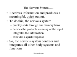 Nervous System I