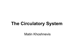 The Circulatory System - University of California, Irvine