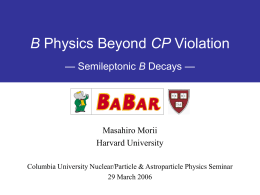 B Physics Behond CP Violation