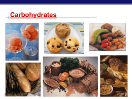 Carbohydrates - Explore Biology