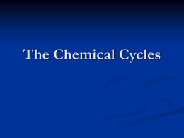 The Chemical Cycles - Exploits Valley High