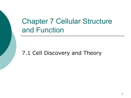 Chapter 7 A View of the Cell