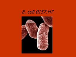 E. coli 0157:H7 - Bakersfield College