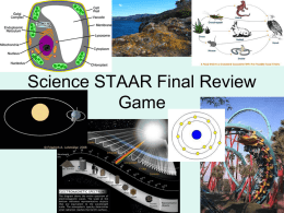 Science STAAR Final Review Game