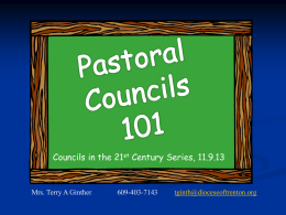 Preparing to Establish a Pastoral Council