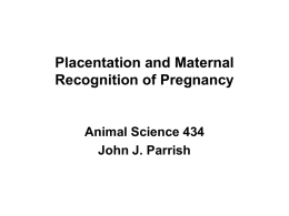 Lecture 19 Placentation and Maternal Recognition of Pregnancy